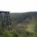 The remains of the Kinzua bridge